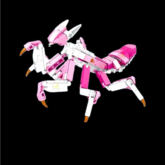 Orchid Mantis Insect Series Collection - Picture 4 of 4